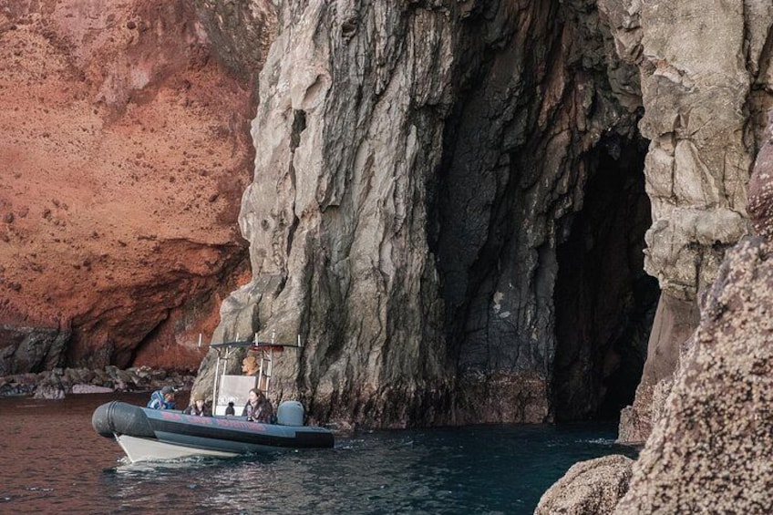 Sea Cave Adventures in Whitianga 2