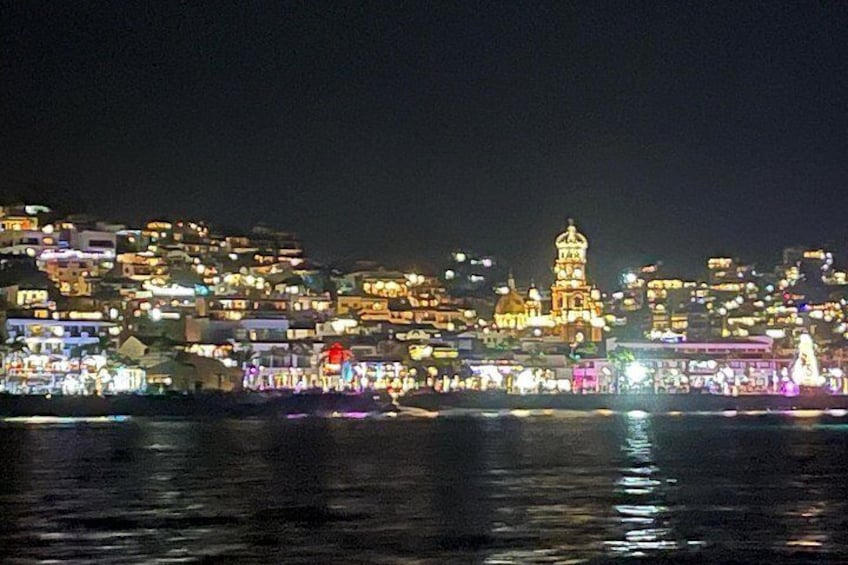 Puerto Vallarta: Private Luxury Yacht Sunset Cruise with Open Bar 4