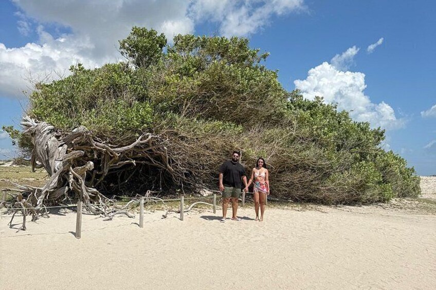 Private tour DE buggy in Jericoacoara-ce 2