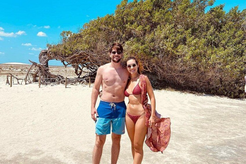Une plage avec du sable, un arbre et une personne portant un maillot de bain. 4