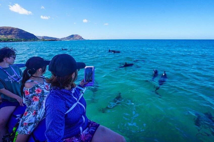 Swimming with Wild Dolphins Speedboat Adventure on Oahu 2