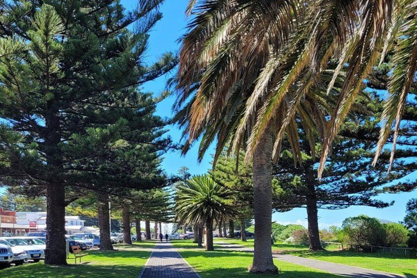 Discover Victor Harbor Walking Tour 4