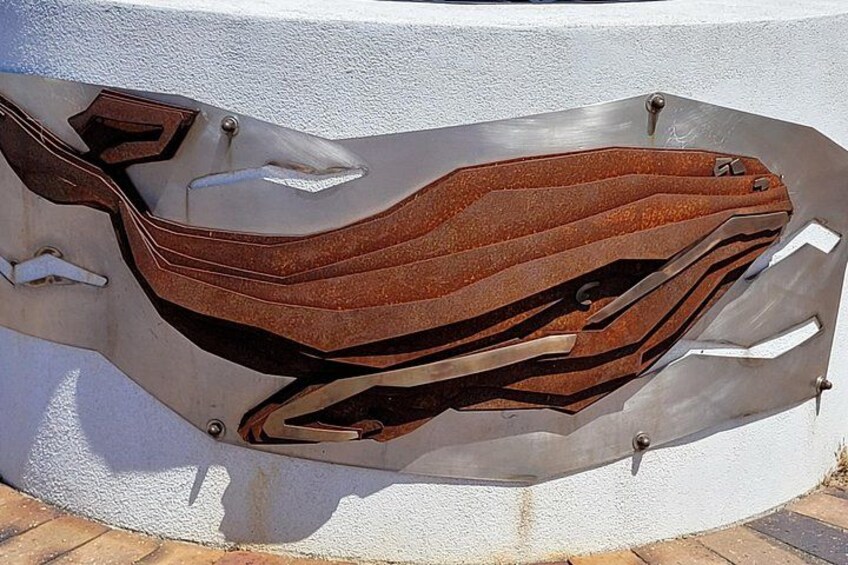 Victor Harbor: Stories of Whaling, Shipwrecks and European Settlers Guided Tour 5