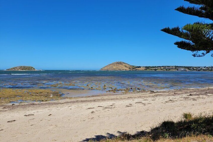 The Bluff, Encounter Bay