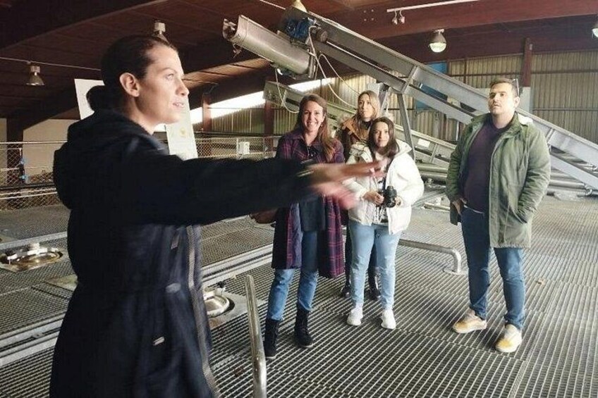 Optional winery visit 3