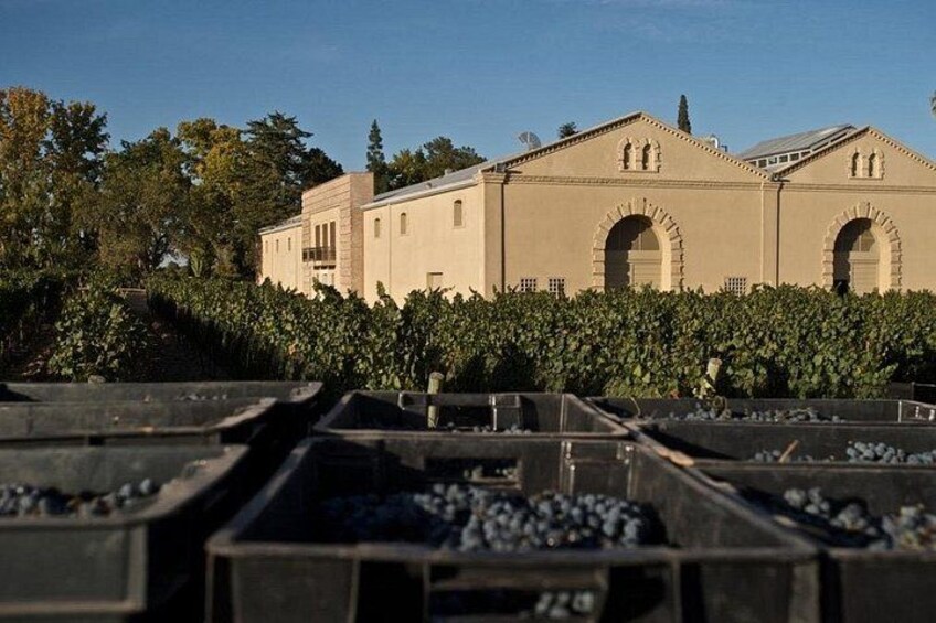 Asado Argentino Lunch & Visit 2 Wineries with Private Transfer 1