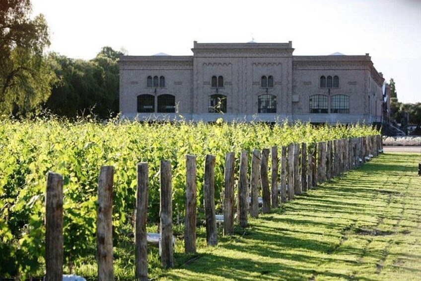 Asado Argentino Lunch & Visit 2 Wineries with Private Transfer 3