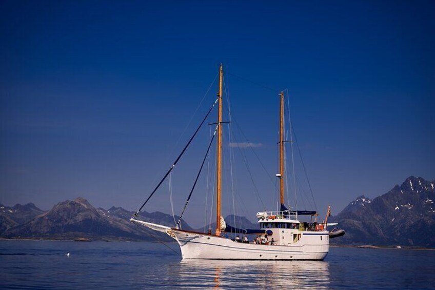 S/Y Stella Oceana