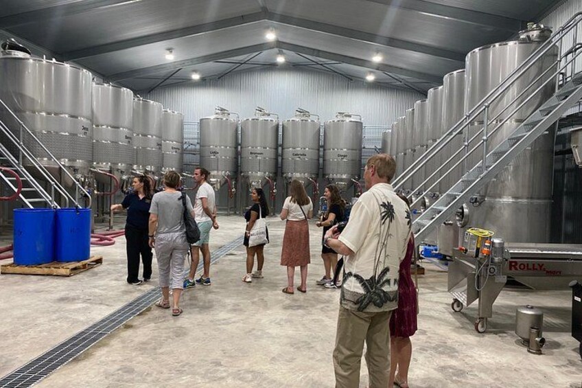Hahndorf & Barossa & Maggie Beers (2 wineries and Lunch Included) 4