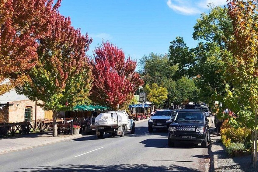 Hahndorf & Barossa & Maggie Beers (2 wineries and Lunch Included) 1