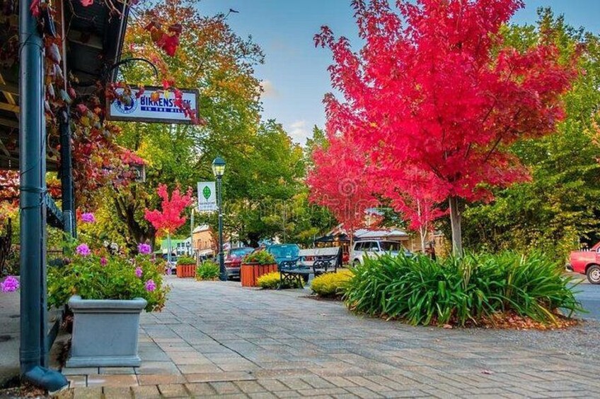 Hahndorf & Barossa & Maggie Beers (2 wineries and Lunch Included) 5