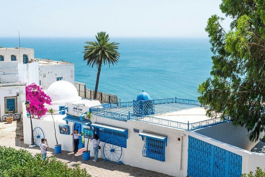 Un edificio costero con detalles azules, una palmera y el mar al fondo. 1