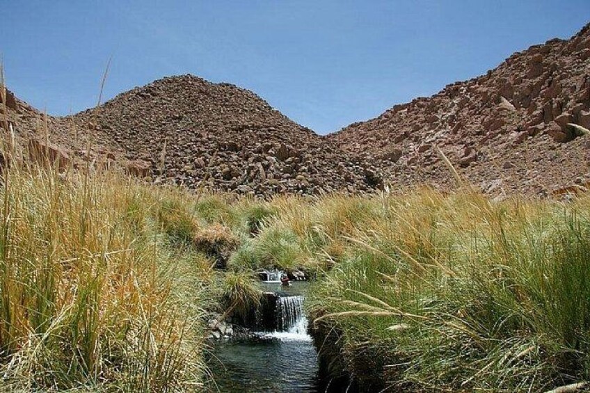 Puritama Hot Springs Tour with Tickets 1