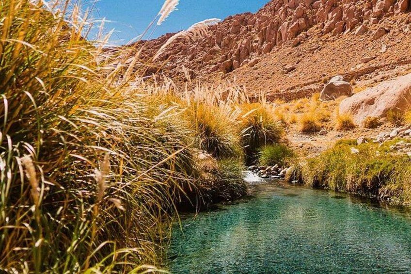 Puritama Hot Springs Tour with Tickets 3