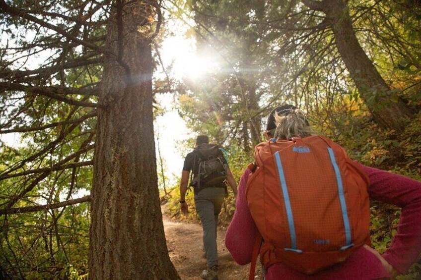 Full-Day Private Tour in Grand Teton National Park