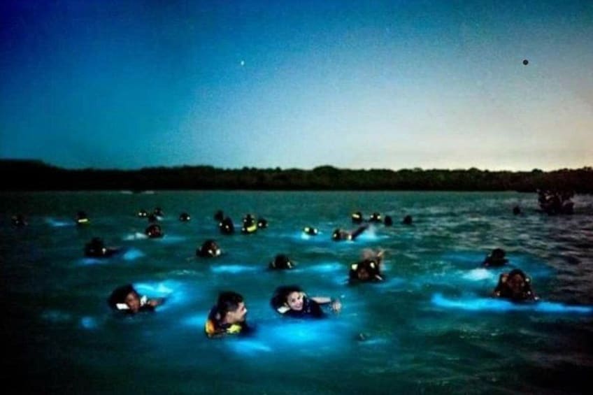 Plankton night activity.
The return is by bus, it takes an hour from Barú to return to Cartagena 2