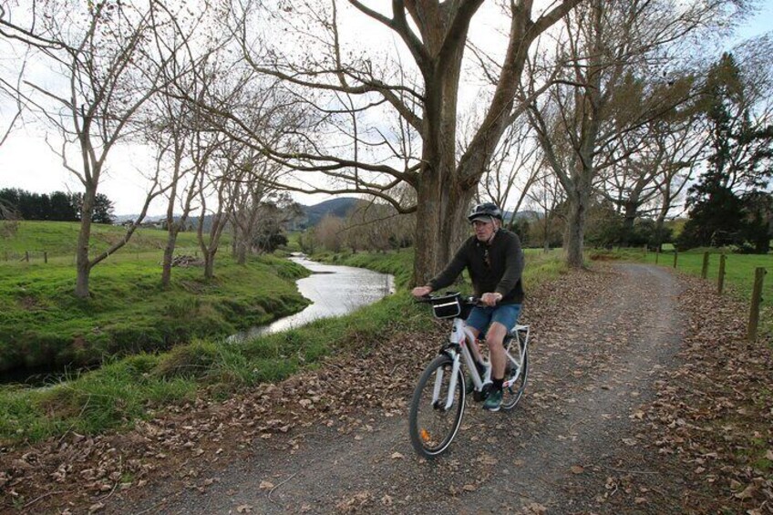 Private Full Day Ebike Tour in Karangahake Gorge