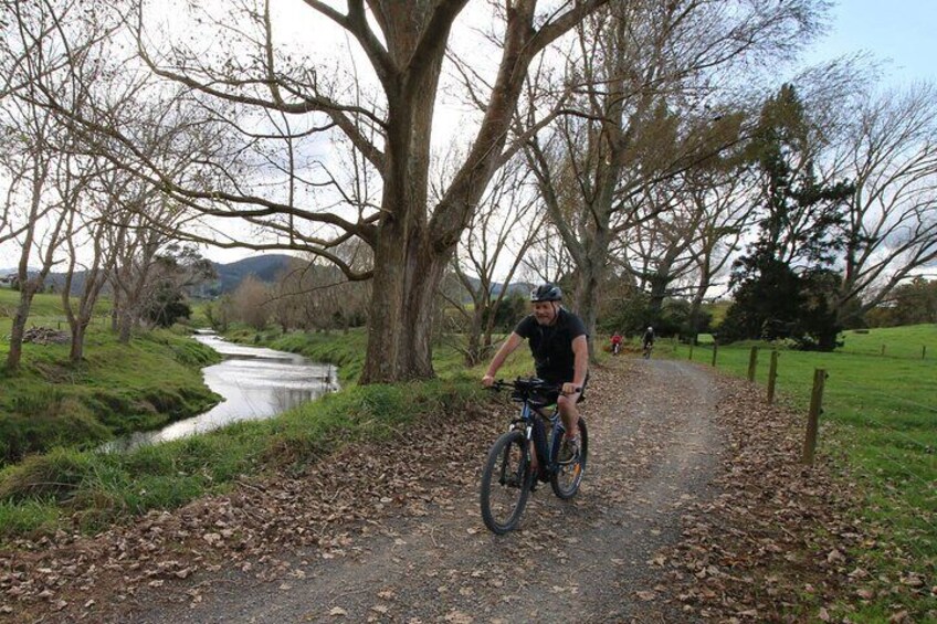 Private Full Day Ebike Tour in Karangahake Gorge