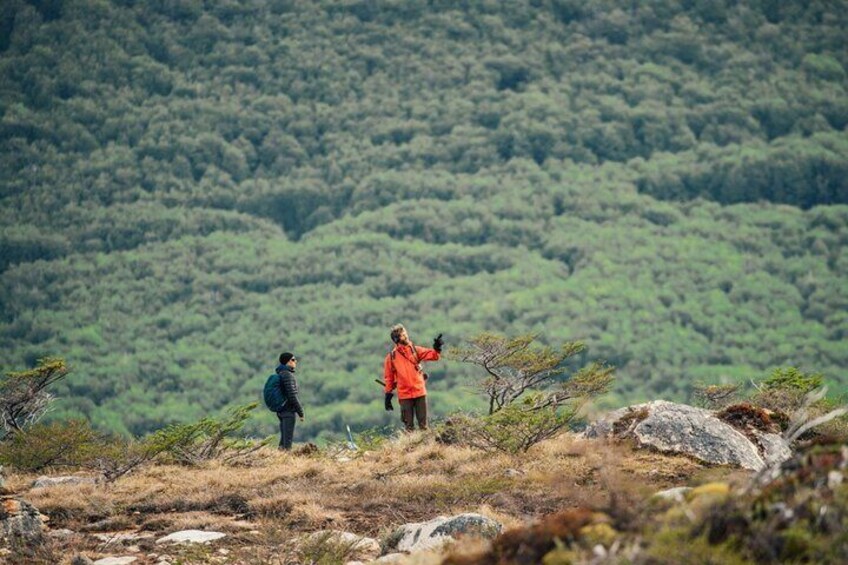 Activity 6-Hours Guided Trekking to Laguna Esmeralda with Lunch