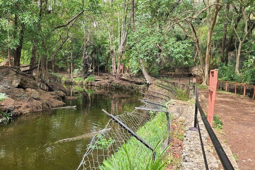 A forested area with a pond, a wooden bridge, and a fence. 5