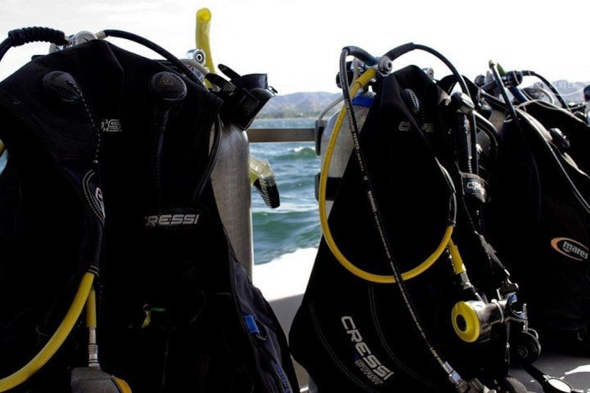 Two Tanks Scuba Diving Tour at Catalina Islands & North Island - CR 5