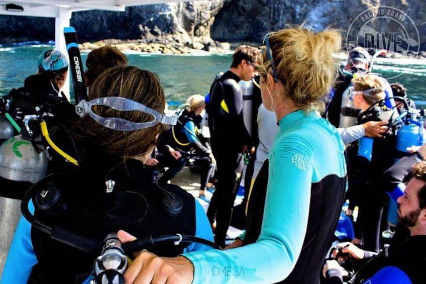 Two Tanks Scuba Diving Tour at Catalina Islands & North Island - CR 4