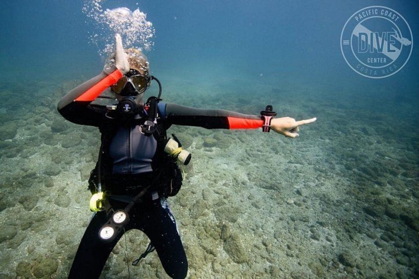 Two Tanks Scuba Diving Tour at Catalina Islands & North Island - CR 2