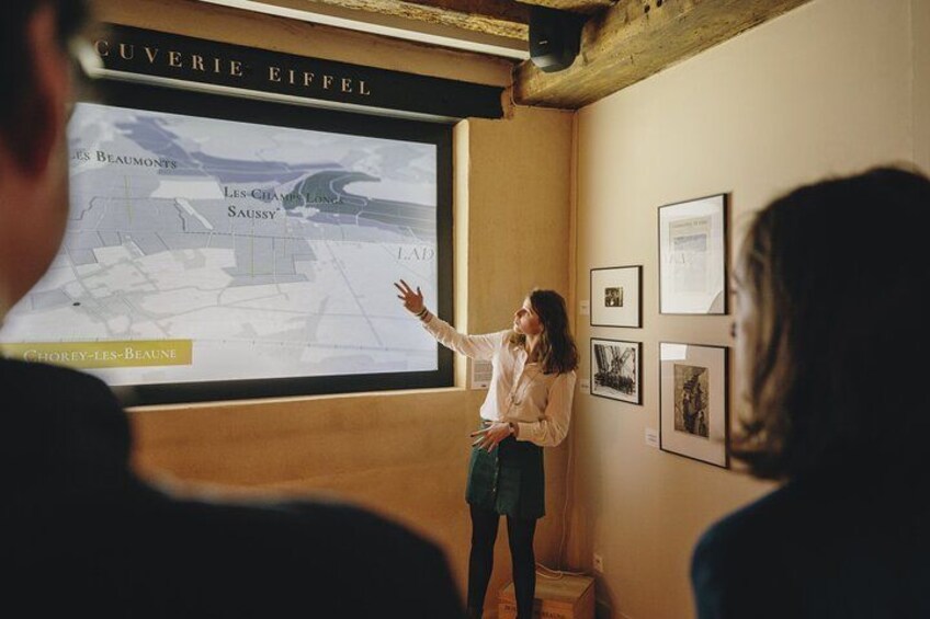 Visit of our cellars and tasting 2