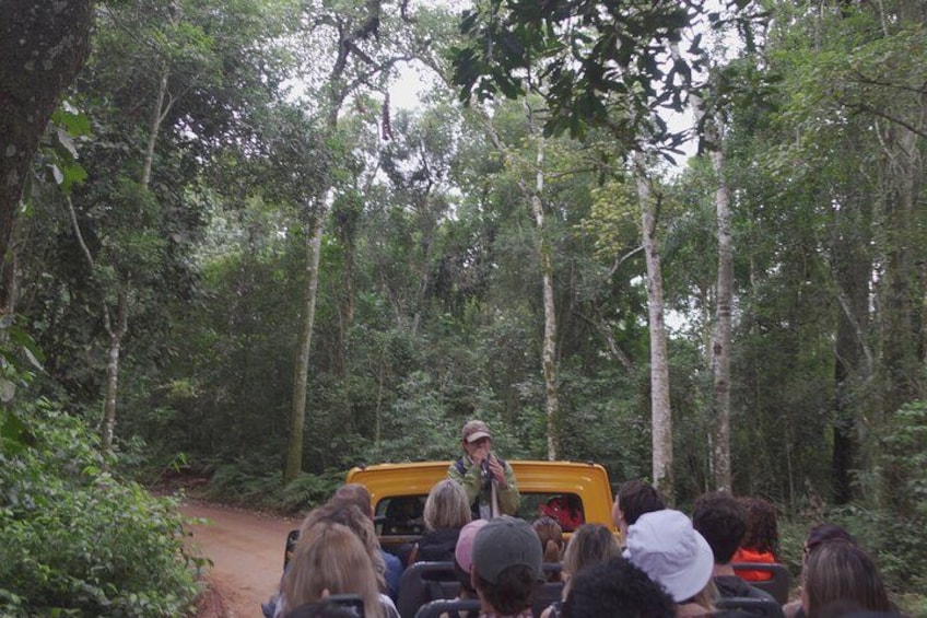 Iguazú Falls Private Full Day Tour 5