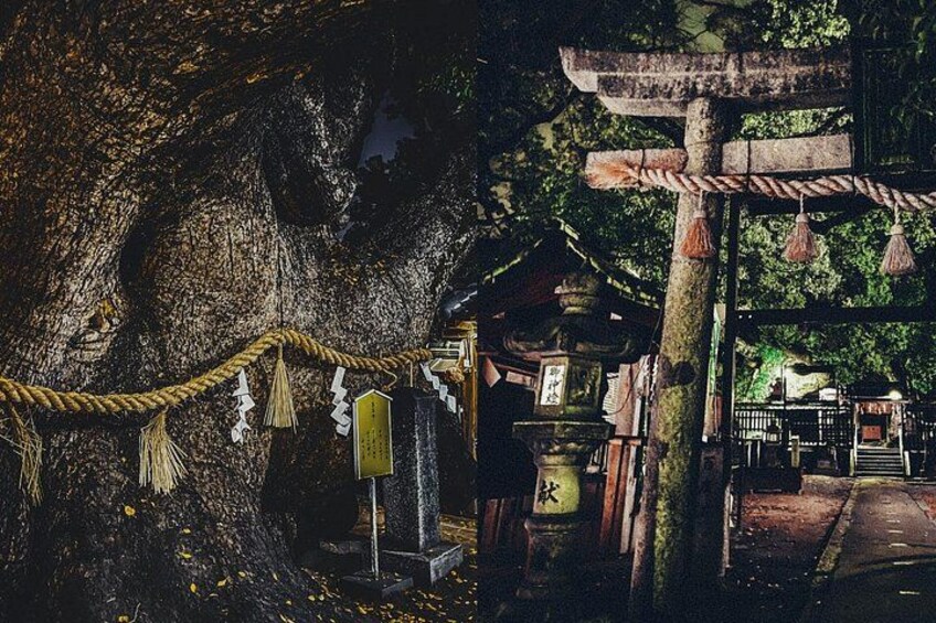 "tree god" expresses Japanese spirits of respect to nature 2