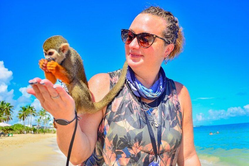 Una persona sosteniendo un mono en una playa con palmeras y el océano al fondo. 4