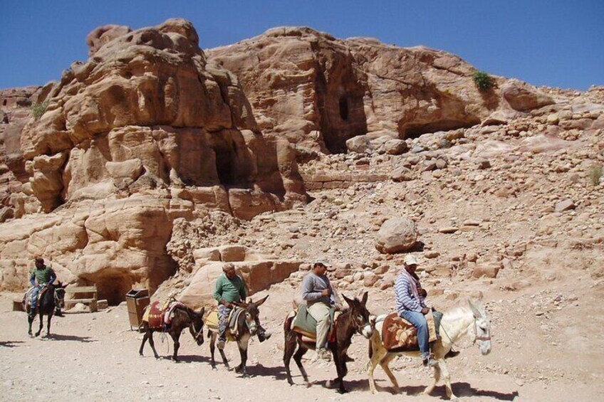 Private Camel, Horse or Donkey Ride in Luxor