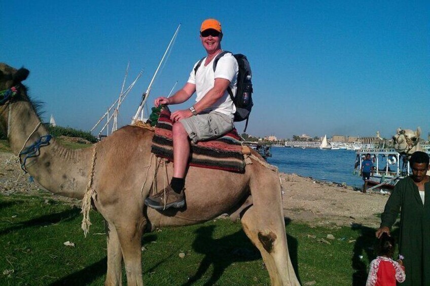 Private Camel, Horse or Donkey Ride in Luxor