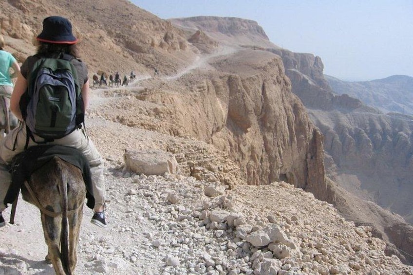 Private Camel, Horse or Donkey Ride in Luxor 2