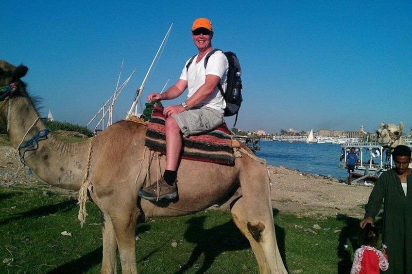 Private Camel, Horse or Donkey Ride in Luxor 5