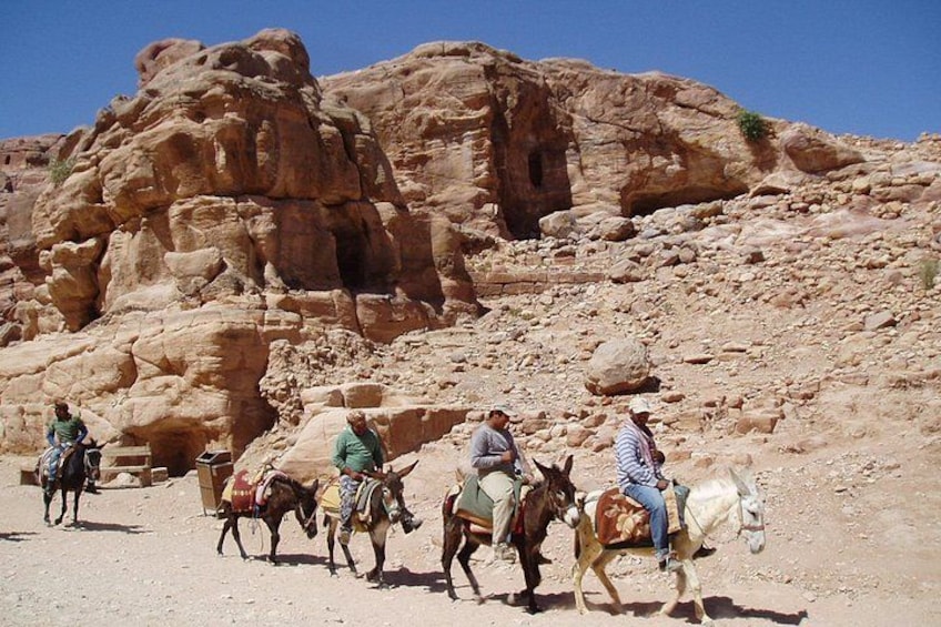 Private Camel, Horse or Donkey Ride in Luxor 1