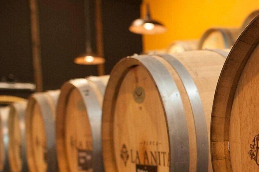 Savoring Luján de Cuyo: A Culinary and Wine Exploration 3