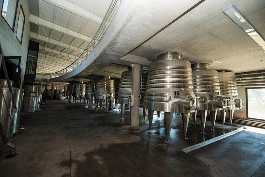 Savoring Luján de Cuyo: A Culinary and Wine Exploration 2