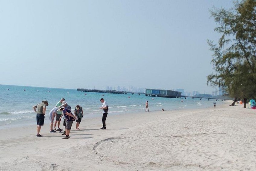 A beach with people, a pier, and a tree. 2