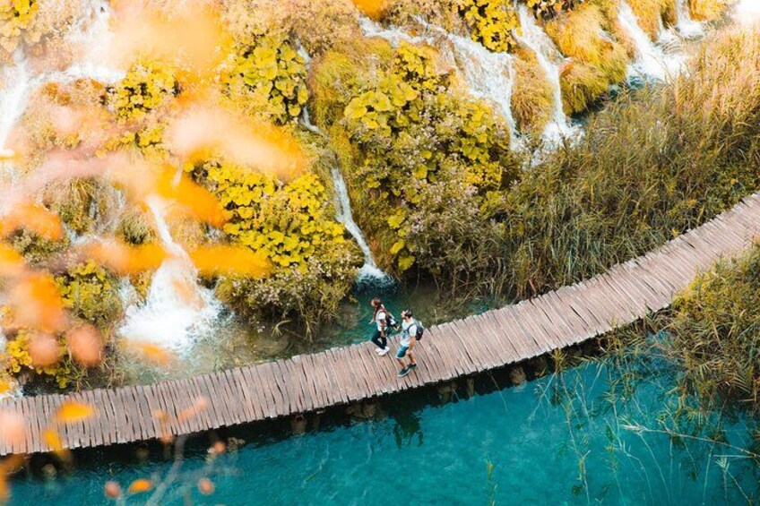 A wooden bridge over a body of water with yellow vegetation on the sides. 1