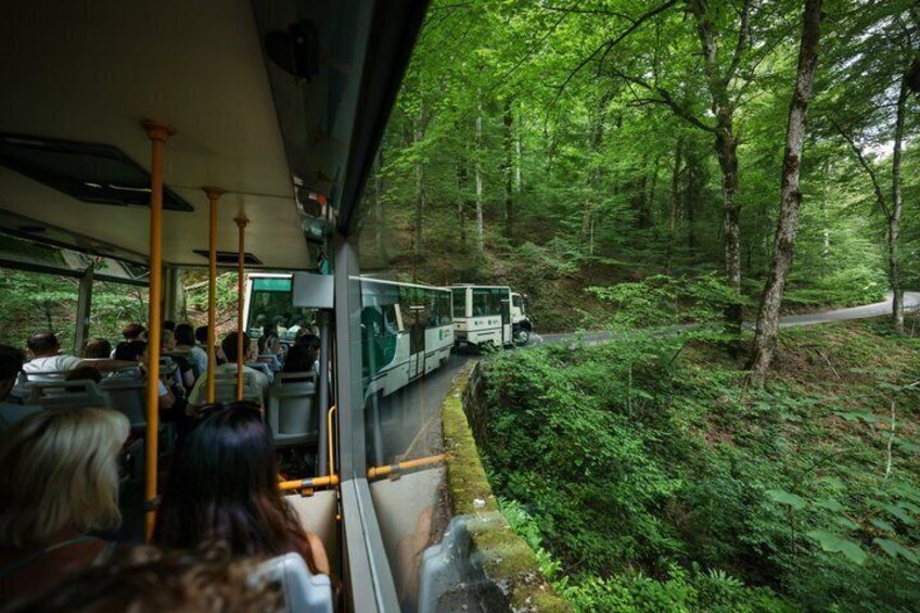 From Zadar: Plitvice Lakes Guided Day Tour with Tickets 4