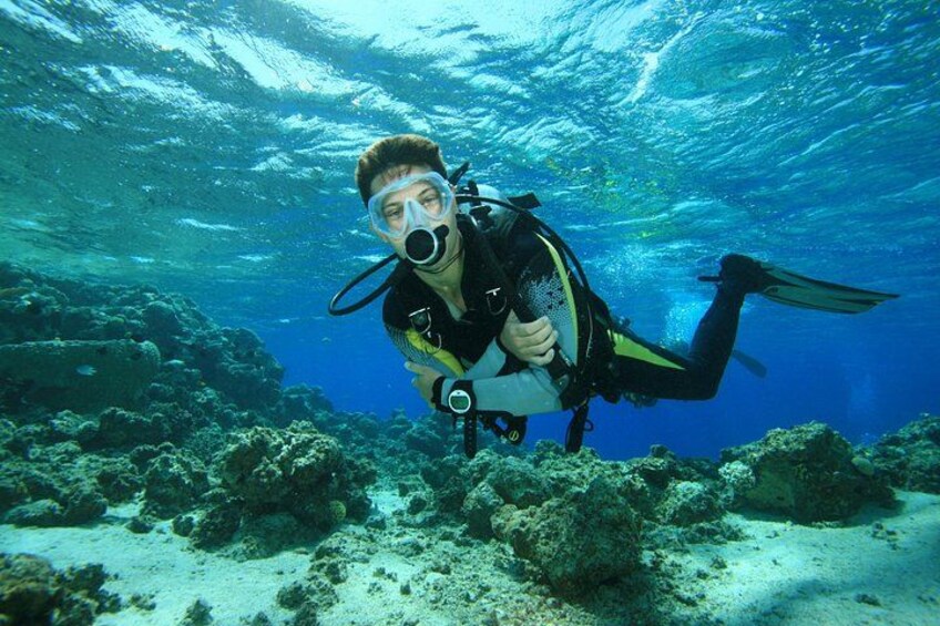 A diver underwater with a scuba mask and fins, surrounded by coral and marine life. 3