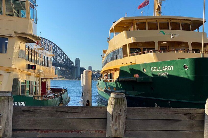 Ultimate Blue Mountains Private Tour with Scenic World and Wildlife Park 4