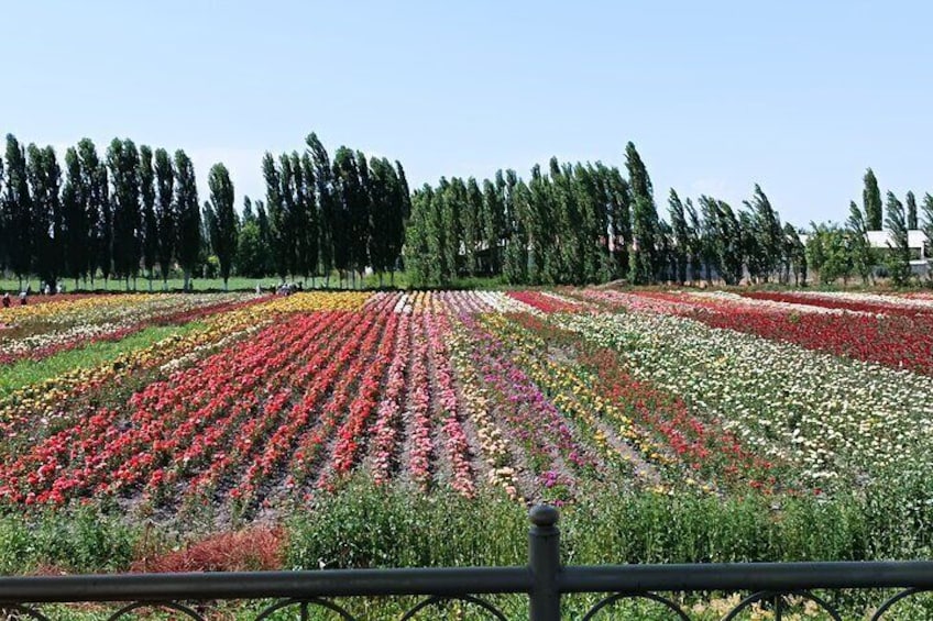 Fergana Valley 2-Day Private Tour 1