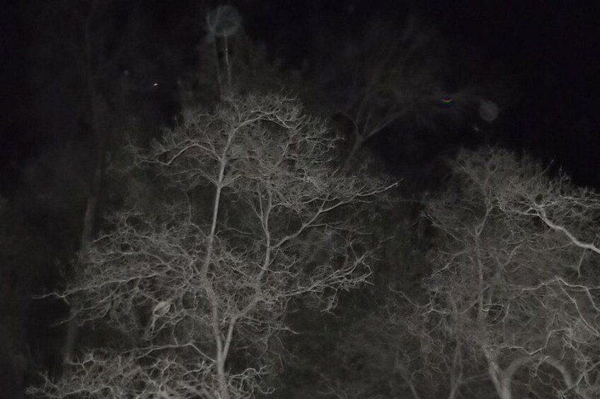 Paranormal Investigation History & Ghost Tour Old Town San Diego 5