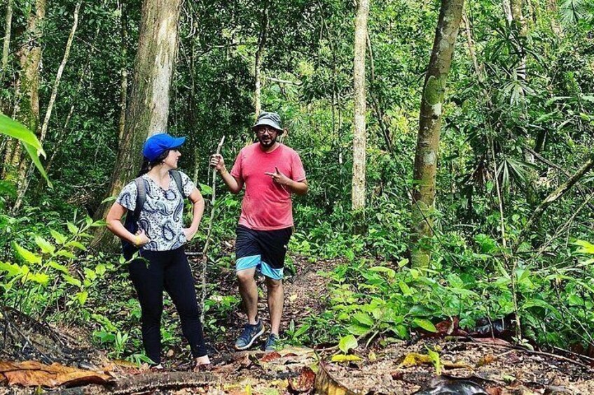 Due persone fanno un'escursione in una fitta foresta, tra alberi alti e vegetazione. 2
