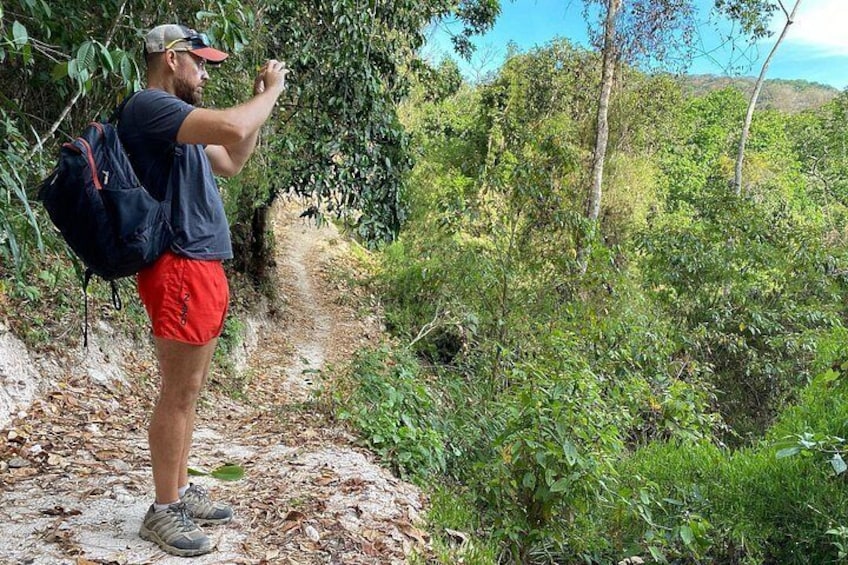 Mismaloya Waterfalls and Mountain Hike. Full-Day tour 2