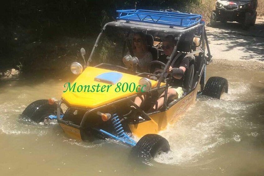 monster 800cc 1 5