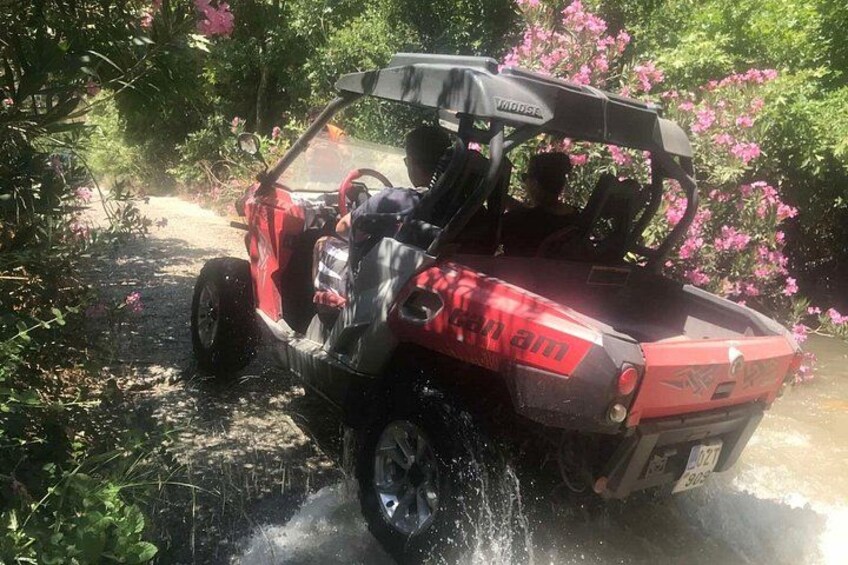 buggy 1000cc 2 3