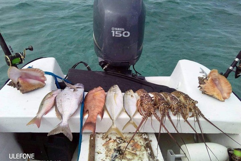 Premium Private Fishing, Snorkelling and Beach cookout tour in San Pedro,Belize 5
